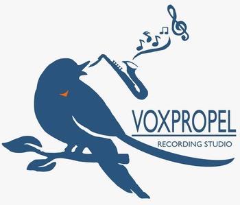 VOXPROPEL logo