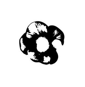 Mark represents blooming flower which signifies standing out of a personality during photography & videography logo
