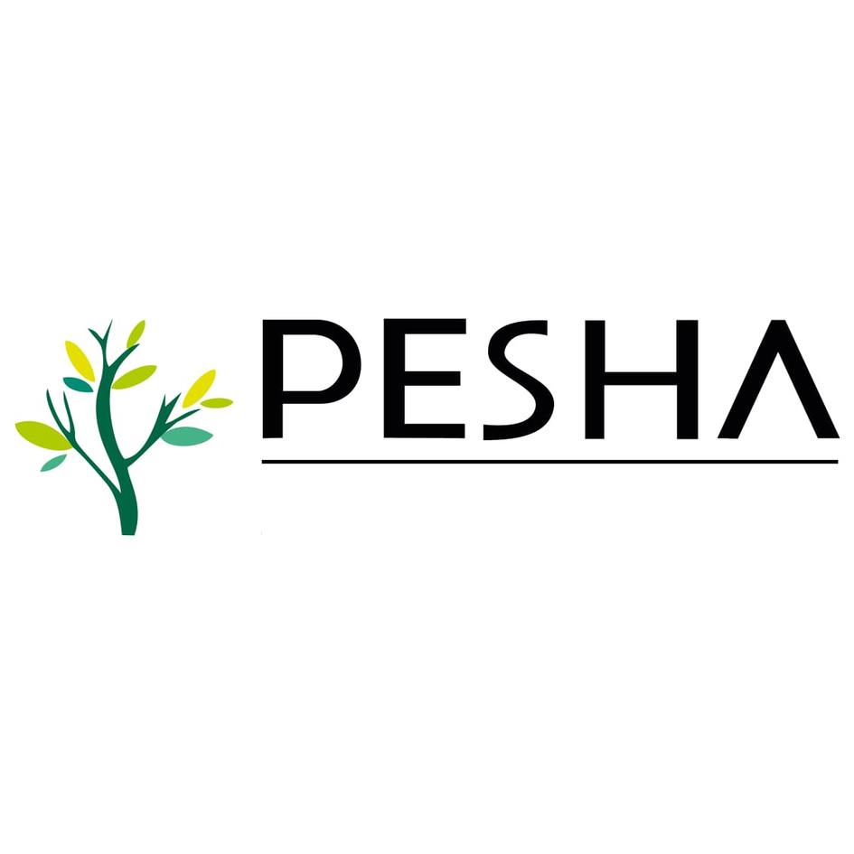 Device of 'PESHA' logo