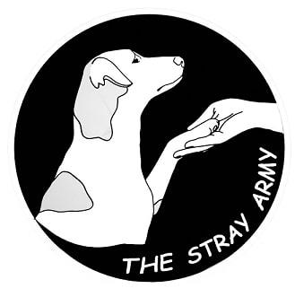 THE STRAY ARMY logo