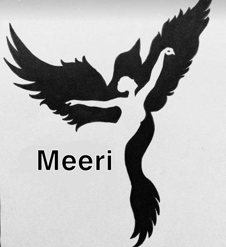 MEERI logo