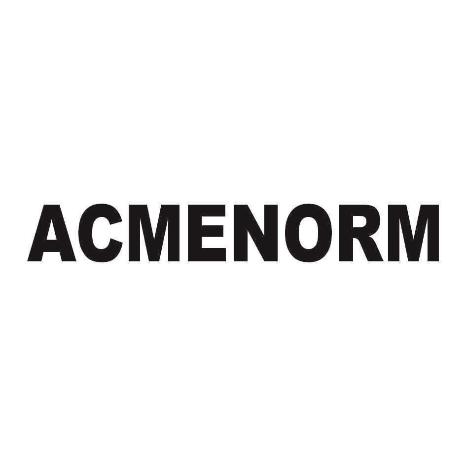 ACMENORM logo