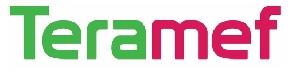 Teramef logo