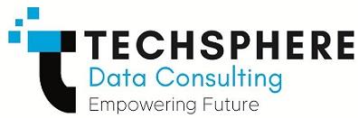 TECHSPHERE DATA CONSULTING logo