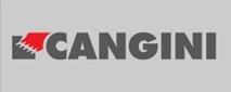 CANGINI (DEVICE) logo