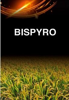 BISPYRO logo