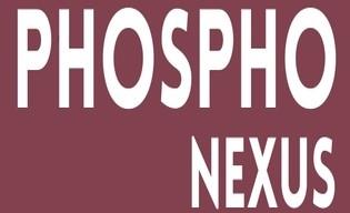 PHOSPHONEXUS logo