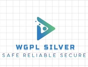 WGPL SILVER- SAFE RELIABLE SECURE logo