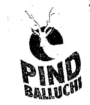 PIND BALLUCHI logo