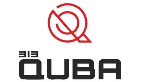 313 QUBA logo