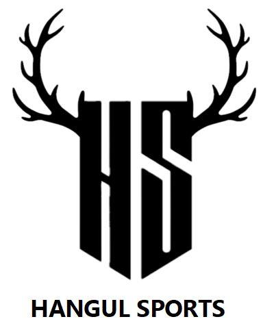 HANGUL SPORTS (WITH DEVICE HS) logo
