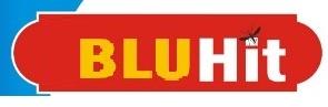 BLUHIT logo