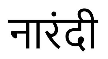 NARANDI logo