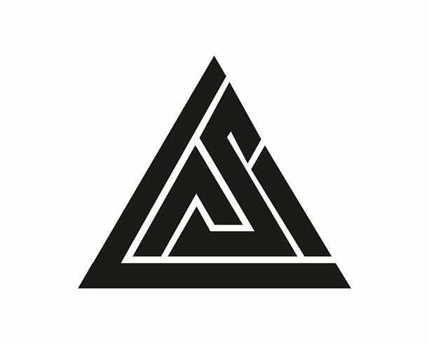 LSM logo