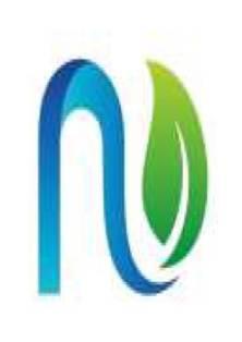 N logo