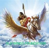 OLD WINGS FOUNDATION logo