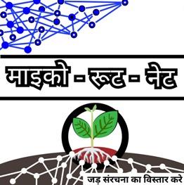 MICO ROOT NET logo