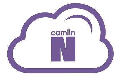camlin N logo