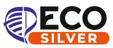 ECO SILVER WITH EP LOGO logo