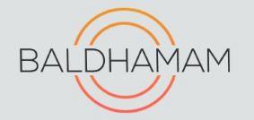 BALDHAMAM logo