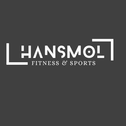 HANSMOL logo
