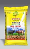 Prakrtik logo