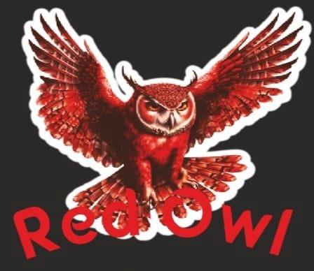 REDOWL logo