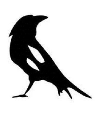Little Raven design logo