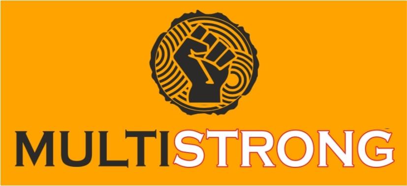 MULTISTRONG logo