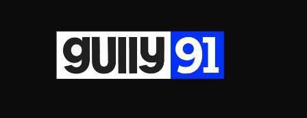 gully91 logo