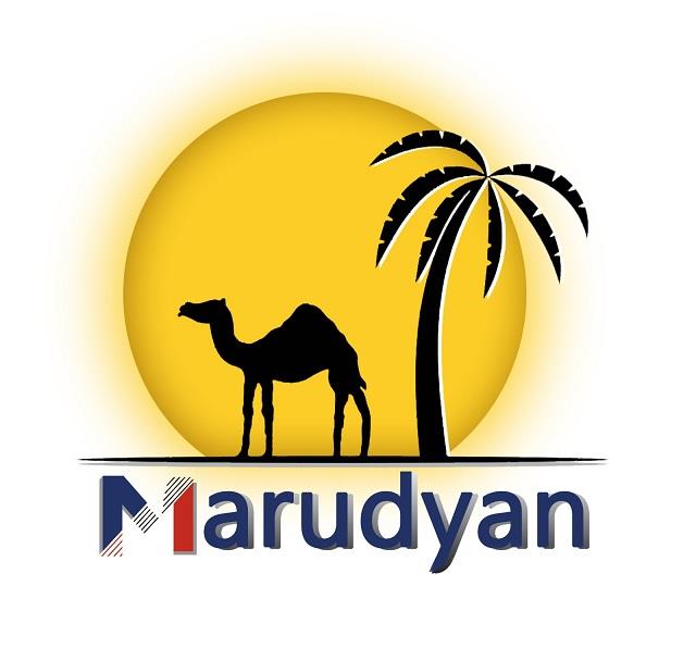 MARUDYAN logo