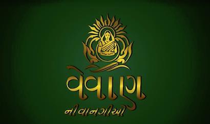 VEEVAN NI VANGIO logo
