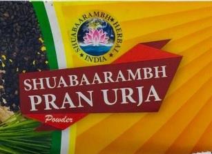 SHUABAARAMBH PRAN URJA logo