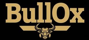 BULLOX WITH DEVICE logo
