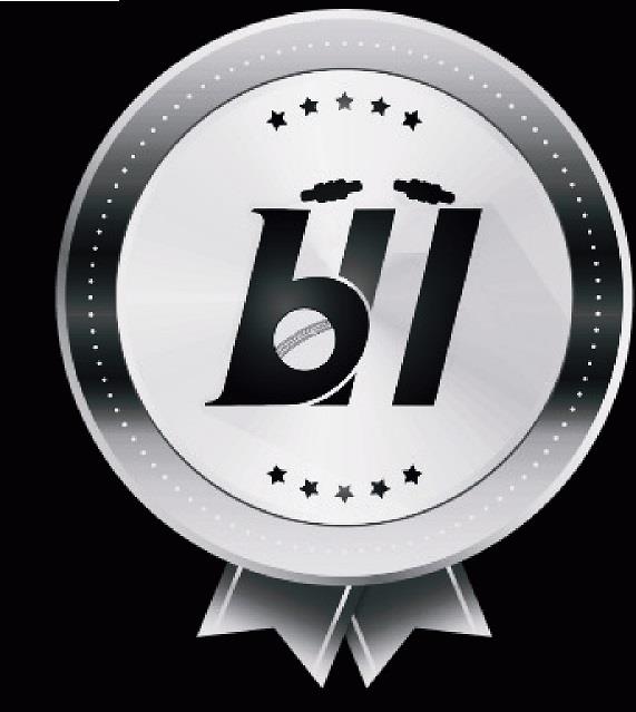 b11 logo