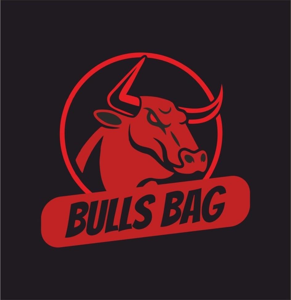 BULLS BAG logo