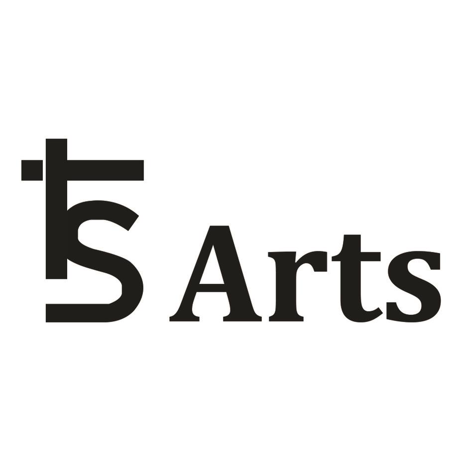 TS ARTS logo
