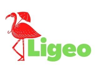 Ligeo logo