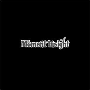 Moment-Insight (With Device) logo