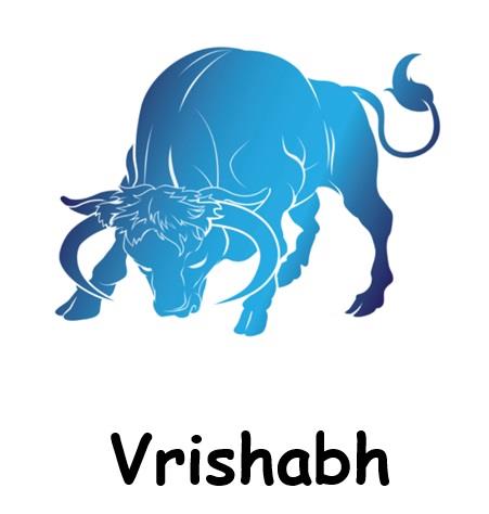 Vrishabh logo