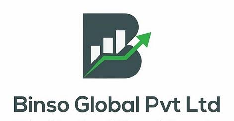 BINSO GLOBAL PVT LTD logo