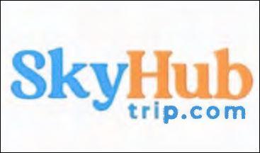 SKYHUB logo