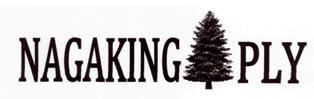 NAGAKING PLY logo