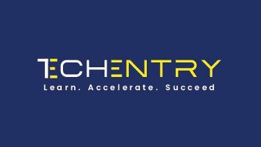 TECHENTRY - LEARN. ACCELERATE. SUCCEED logo