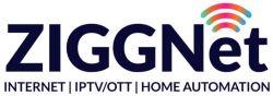 ZIGGNET logo