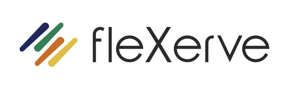 fleXerve logo