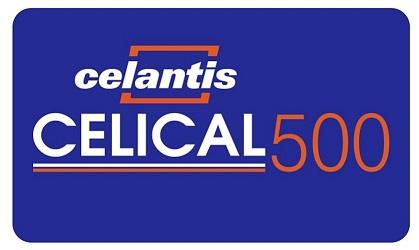CELANTIS CELICAL 500 logo