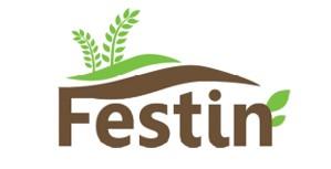 Festin logo