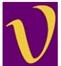 DEVICE OF V logo