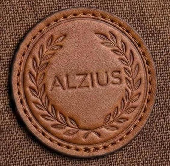 ALZIUS logo